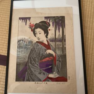 明治美人石版画 龜井戸?藤見 藪崎芳次郎