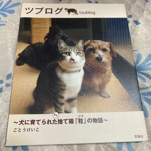 ツブログ　犬に育てられたもと捨て猫「粒」の物語 ごとうけいこ／著