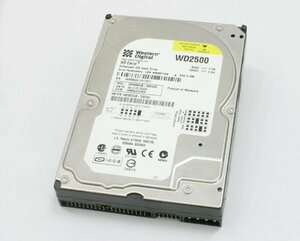 Western Digital WD Caviar Blue (WD2500JB-00EVA0) 250GB E-IDE 7200rpm 新古品！