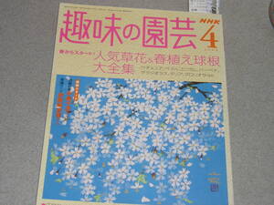 NHK趣味の園芸2004.4ペチュニア/ペラルゴニウム/シンビジウム/モクレン/エダマメ、ラッカセイ、サトイモ、トウモロコシ