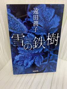 雪の鉄樹　遠田潤子著　光文社文庫　中古