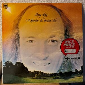 Terry Riley A Rainbow In Curved Air レコード テリー・ライリー ア・レインボー・イン・カーヴド・エア 現代音楽 minimal ミニマル LP