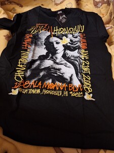 dead stock! old stussy ホノルルチャプト限定 VENUS TEE tシャツ