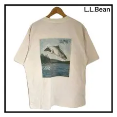 L.L.Bean　1980 SS Catalog Trout-T-shirts