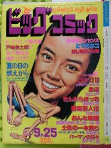 ビッグコミック 1980/ 9/25日号 岸本加世子20才,浅野温子19才,烏丸せつこ25才,赤座美代子36才,藤村有弘46才,草刈正雄28才,上野光夫37才