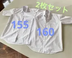 白シャツ 半袖 2枚 トップバリュー 155  160 ノーアイロン Yシャツ