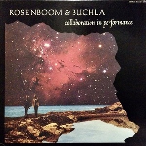 ◆異世界ミニマル電子音◆美盤◆David Rosenboom◆Donald Buchla