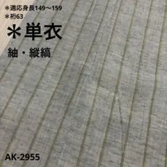 単衣 紬 縦縞 正絹 広衿 着物 AK-2955