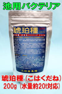 琥珀種200g★池用バクテリア・こはくだね・飼育水20t対応・好気性バクテリア・納豆菌・粉末・適格請求書発行可能★60