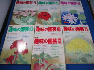 NHK 趣味の園芸 7冊まとめ売り 昭和58年 昭和59年 キウイ 大ギク シクラメン フジ サツキ サギソウ キンモクセイ等【9762】