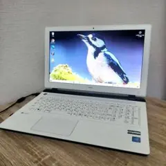 NEC ノートPC PC-NS100C1W-P2 500GB メモリ12GB