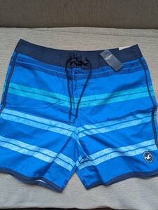 * 1点のみ * HOLLISTER ホリスター サーフパンツ W36 / Blue 水着 海パン スイムパンツ *