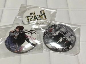 ネコポス■ エヴァ 缶バッジ RADIO EVA ３種セット 真希波・マリ・イラストリアス the beast 綾波レイ アスカ 碇シンジ 渚カヲル 集合