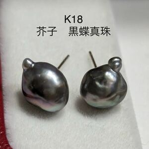 AB299 K18WG　天然 ケシ　黒蝶真珠　無調色　ケシパール　ピアス