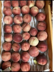 162.お買い得福島産 朝採り完熟桃 箱込み3kg家庭用　