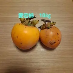 奈良県産　愛宕柿　箱込み10㎏