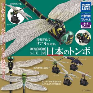 5種コンプ☆日本のトンボ 原色図鑑シリーズ オニヤンマ ギンヤンマ シオカラトンボ アキアカネ チョウトンボ フィギュア ガチャガチャ