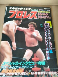 エキサイティングプロレス デラックス版PART-5 ピンナップ付き 1983.6/佐山聡/タイガーマスク/テリーファンク/スタン・ハンセン/B3233553