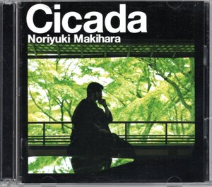 ★中古美品　CD　槇原敬之　Cicada