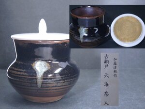 ★加藤連瓶【古瀬戸 大海茶入】栞付き(陶雅堂)　蓋も陶器　胴径7.4cm　高さ8cm　茶道具 茶器