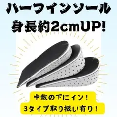 【ハーフ】⠀インソール 2cm 左右1足分 中敷 インヒール フリーサイズ