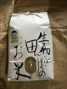 【農薬不使用】2023年（令和５年）産　ササシグレ　玄米 5kg