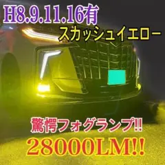 驚異の明るさ！スカッシュイエロー28000LM‼H8.9.11.16