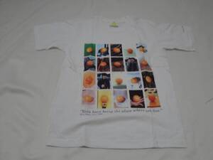 ★☆激レア　ゆず　アリーナツアー1999　Ｔシャツ：新品未使用品☆★