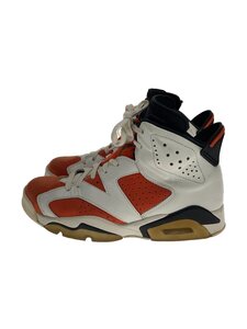 NIKE◆AIR JORDAN 6 RETRO/エアジョーダンレトロ/ホワイト/384664-145/25cm/WHT//