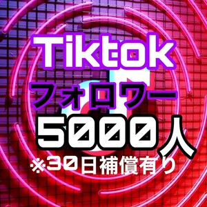 【おまけ 5000 Tiktok フォロワー数 増加】ティックトック Youtube 自動ツール フォロワー follower 宣伝 収益化