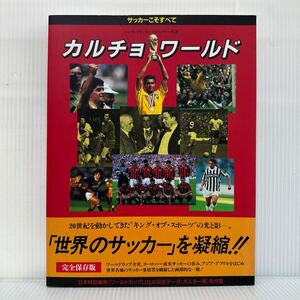 カルチョ・ワールド 1994/9/4発行★サッカーこそすべて/ハンス・ブリッケンスデルファー共著/世界のサッカーを凝縮/完全保存版