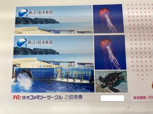 送込☆新江ノ島水族館　招待券2枚セット　12/31迄　新江ノ島水族館