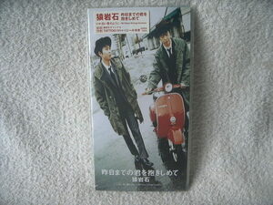 ★未使用★ 猿岩石 【昨日までの君を抱きしめて】 8㎝シングル SCD 