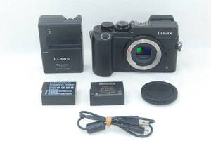 ★現状品★Panasonic パナソニック LUMIX ルミックス DMC-GX8 ボディ ブラック♪