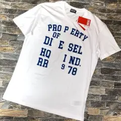 【新品】DIESEL ディーゼル／ラバープリント Ｔシャツ カットソー XXL