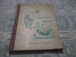 『教科書　花　高等学校農業科』（C077）