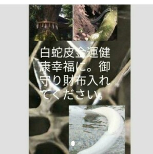 必ず効果ある金運開運恋愛仕事白蛇皮お守り　寺から配達　歴史ある白蛇皮　艶最大　ご利益　過去流し開運金運