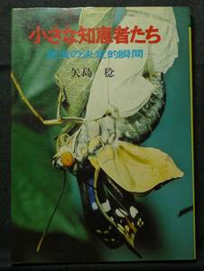 【超希少】【初版、美品】古本　小さな知恵者たち　昆虫の決定的瞬間　カラーフォト・シリーズ　著者：矢島稔　（株）朝日ソノラマ