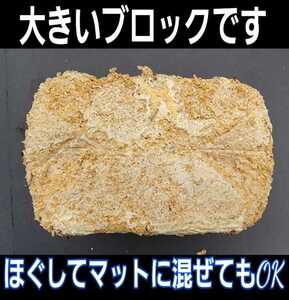 カブトムシ幼虫の栄養強化に！キクラゲ菌床ブロック　マットに埋めるだけで幼虫がモリモリ食べます！クワガタの産卵床にも！クヌギ100％