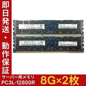 【8G×2枚組】低電圧版 Hynix PC3L-12800R 2R×4 中古メモリー サーバー用 DDR3L 即決 税込 即日発送 動作保証【MR-H-206】