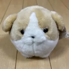 新品　まんまるシリーズ　いぬ　ぬいぐるみ