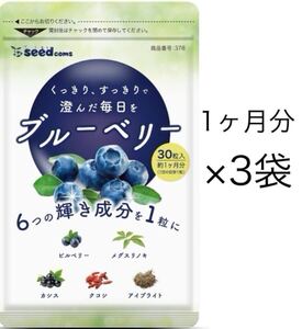 ★送料無料★ブルーベリー 約3ヶ月分約1ヶ月分30粒入り×3袋)シードコムス サプリメント アントシアニン ビルベリー