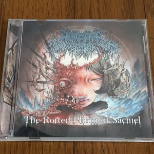 [ Onchocerciasis Esophagogastroduodenoscopy / The Rotted Plinth Of Sachiel ] CD 送料無料 Suffocation, Devourment