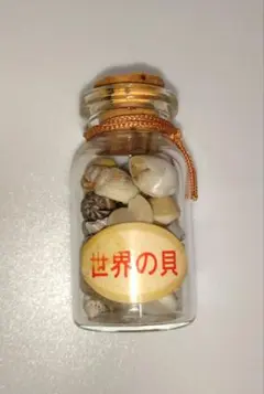 昭和レトロ　世界の貝　小瓶