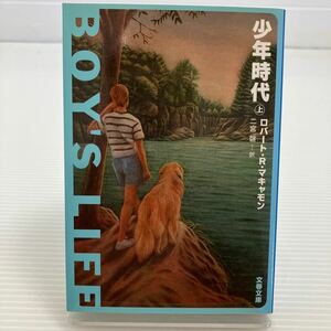 少年時代　上 （文春文庫） ロバート・Ｒ・マキャモン／著　二宮磬／訳 KB0228