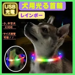 首輪 犬 光る レインボー おしゃれ 散歩 LEDライト USB充電 安全　夜