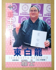 東白龍 雅士 BBM 2021年 白石改め 新十両 大相撲 玉ノ井部屋 ベースボール・マガジン社 トレーディング・カード トレカ 大相撲