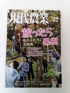 現代農業 げんだいのうぎょう　2019年12月号 240628