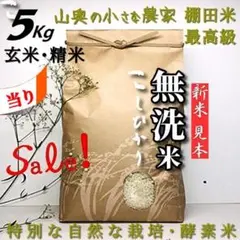 【超希少】棚田米　酵素米　コシヒカリ　玄米５ｋｇ「無洗米 に精米」