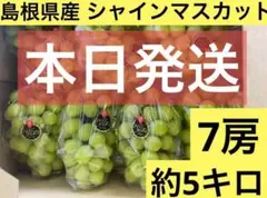 ⑤【島根県産】シャインマスカット7房　約5キロ